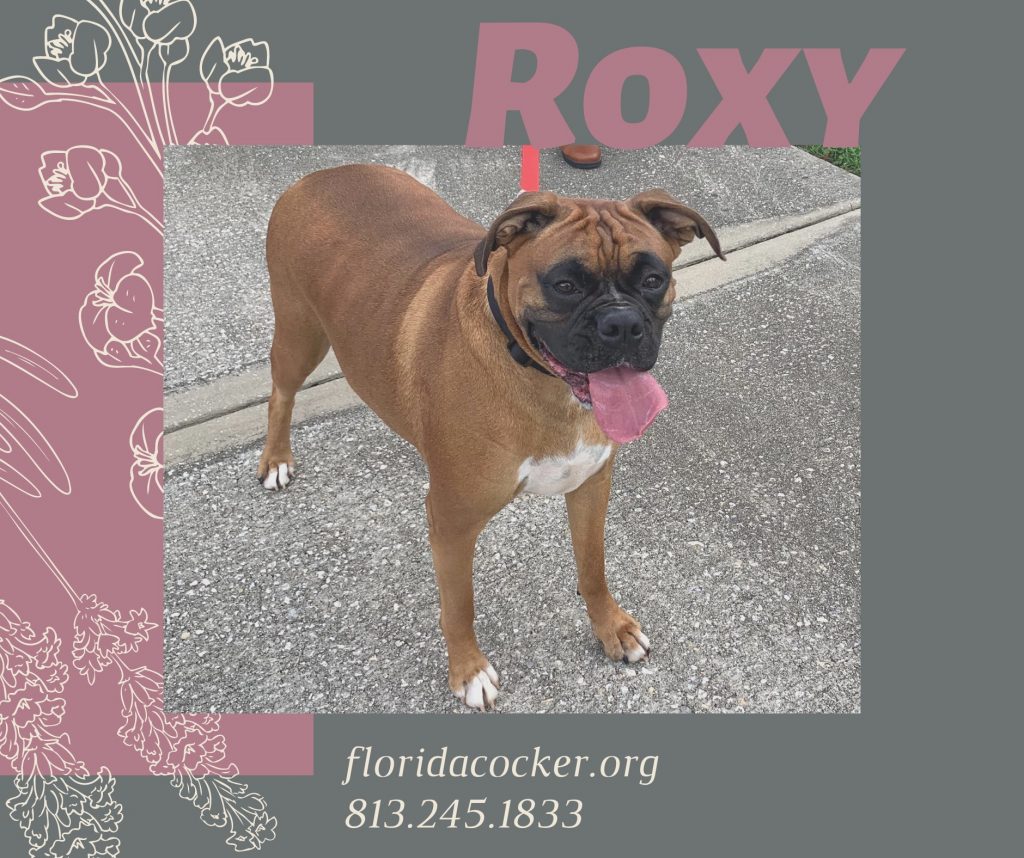 Roxy