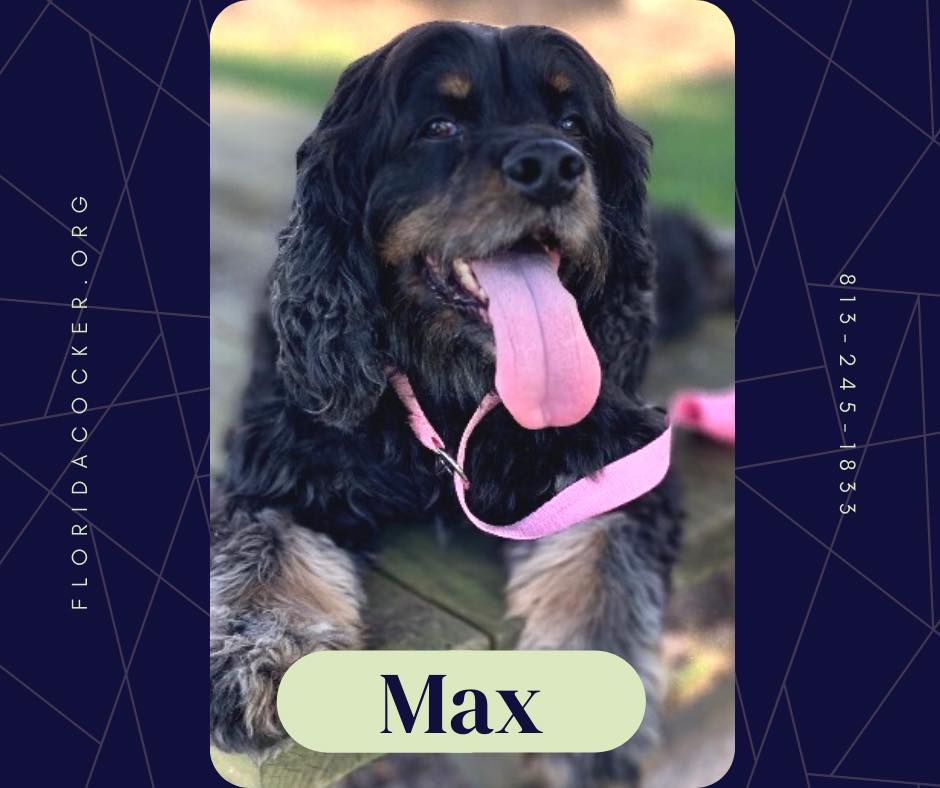 Max