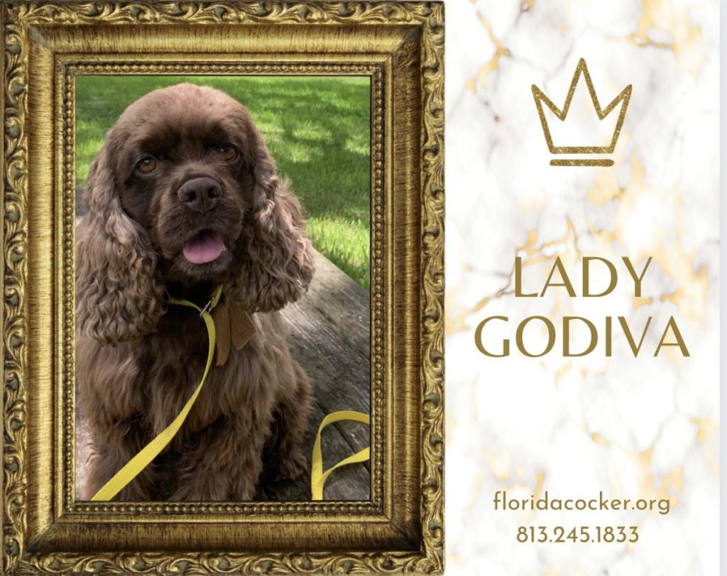 Lady Godiva