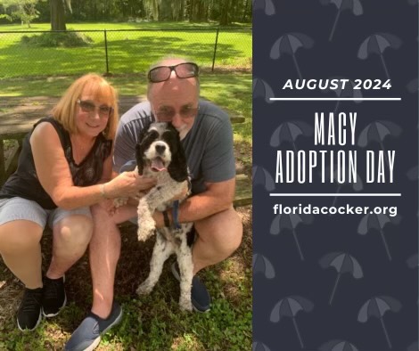 Macy Adopt1