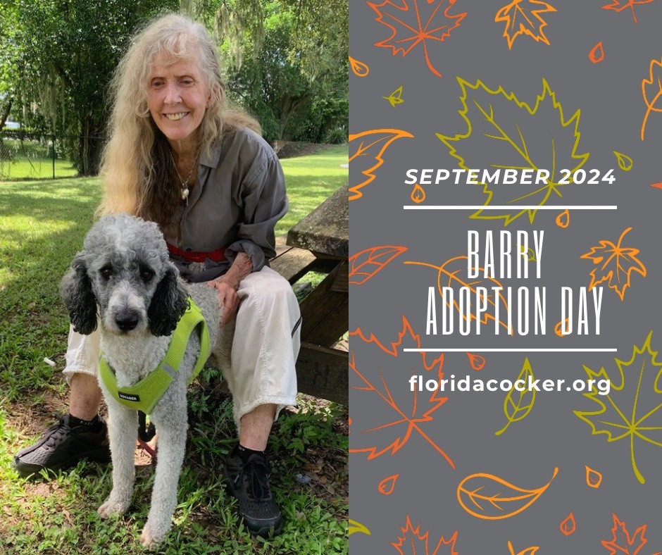 Barry Adopt