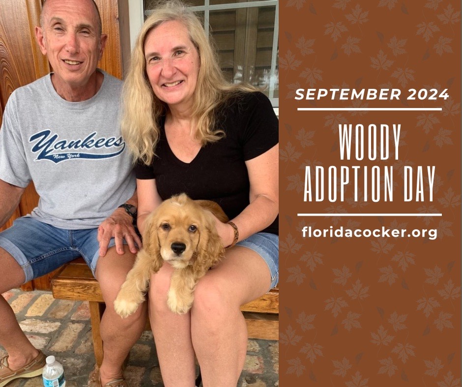 Woody Adopt