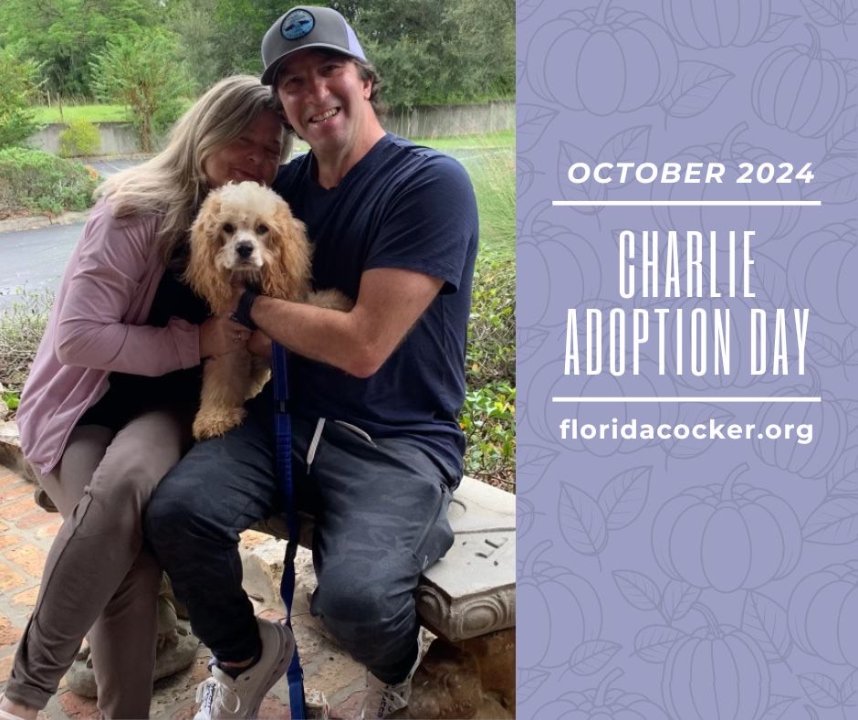 Charlie Adopt2