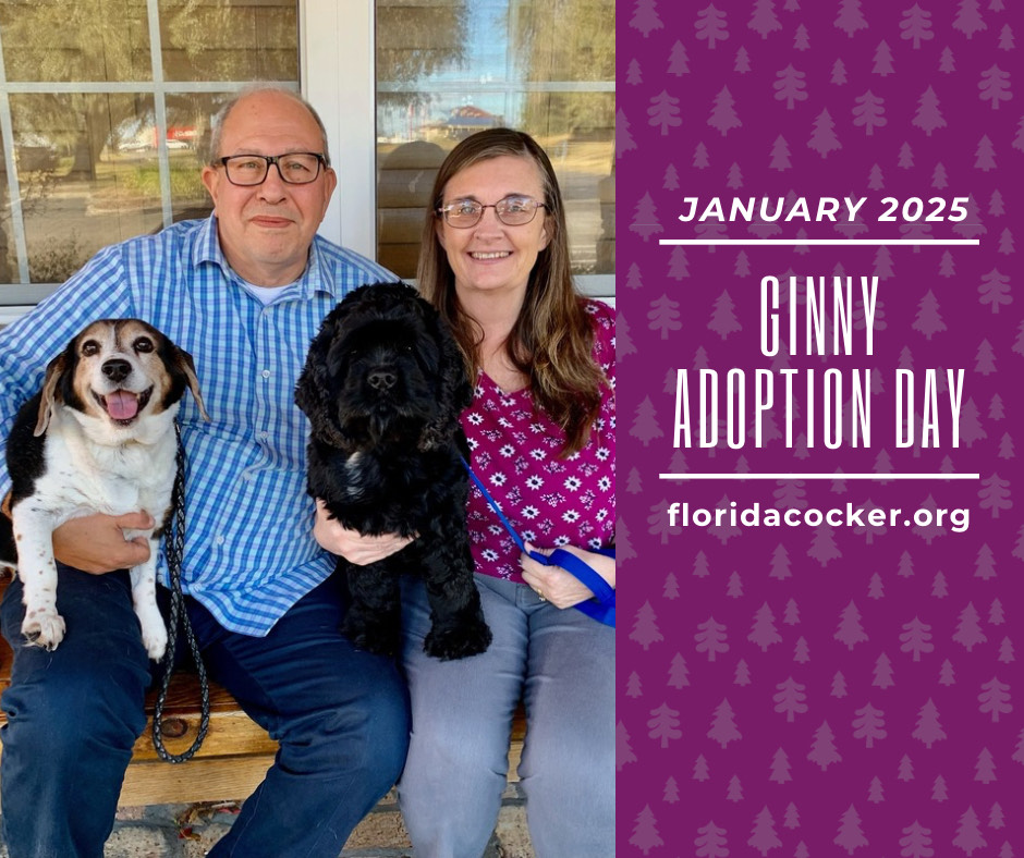 Ginny Adopt