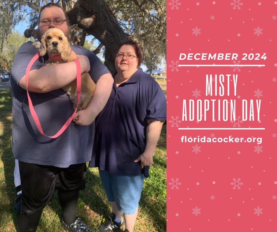 Misty Adopt